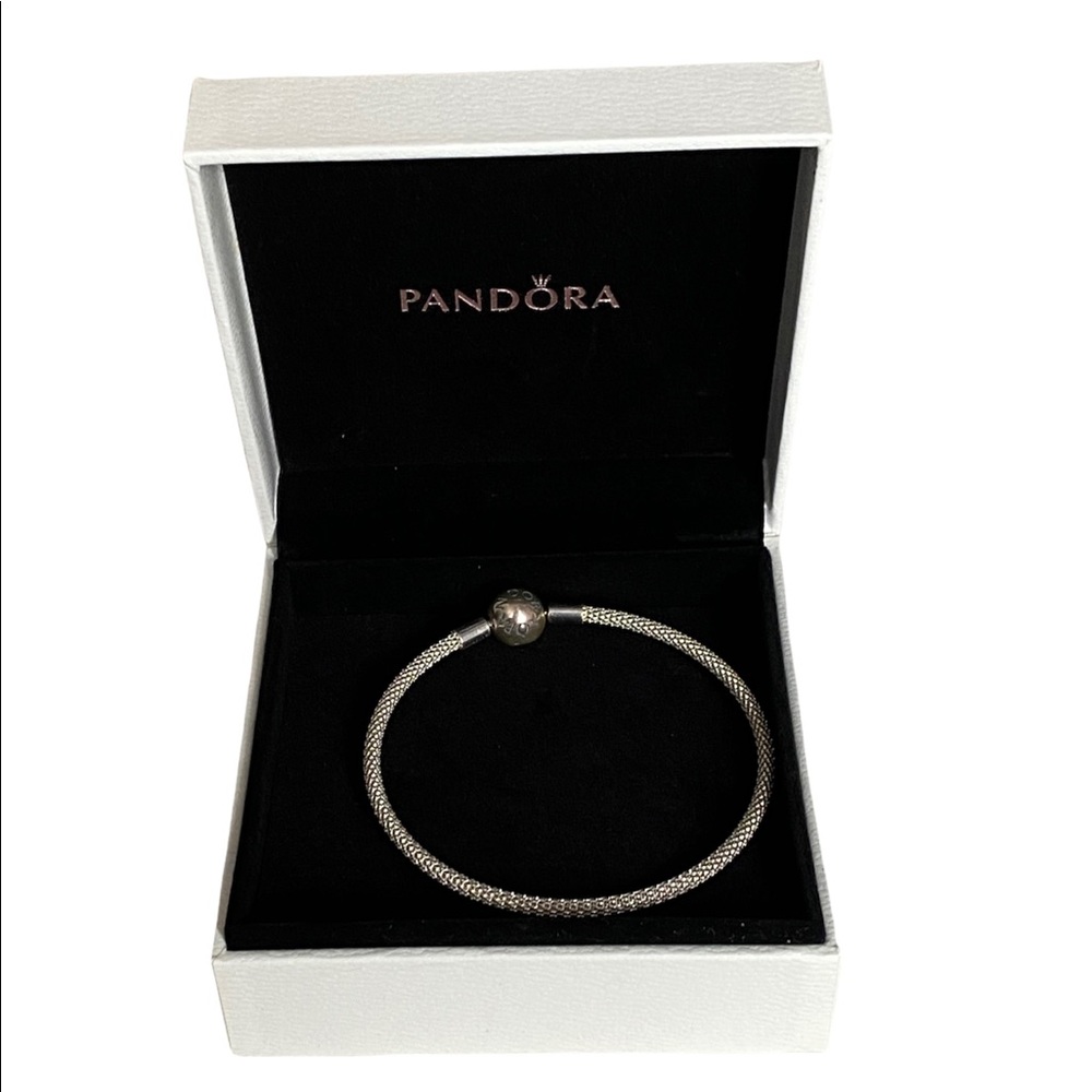 Pandora Mesh Bracelet [ WORN ONCE]